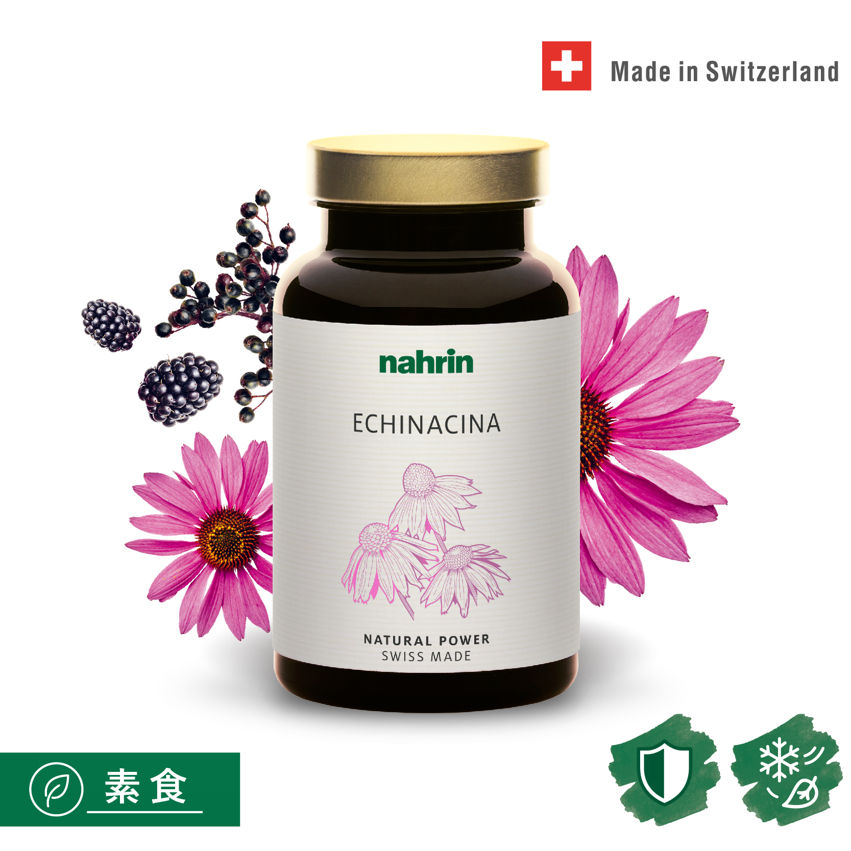 紫錐菊黑醋栗複方口含錠 Echinacina