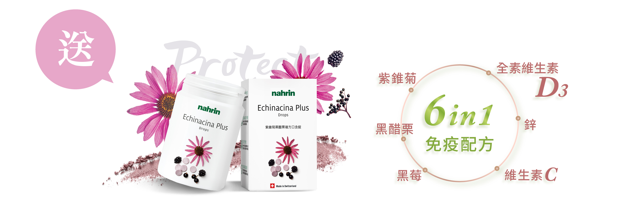 Nahrin 納霖紫錐菊黑醋栗複方口含錠有紫錐菊、黑醋栗、黑莓、維生素C、D3、鋅等多種營養素。紫錐菊能夠促進傷口癒合、提升身體免疫力，抗發炎、止痛與促進傷口癒合，還能抗發炎、保護心血管以及預防心臟病; 黑醋栗有大量花青素，是家喻戶曉的「超級食物」，能夠保護視力與心血管、延緩皮膚老化與認知功能退化; 黑莓有抗氧化、保護視力、減緩認知功能退化、保護心血管、延緩皮膚衰老、抗癌等功能; 維生素C能促進膠原蛋白形成、幫助骨骼牙齒生長、幫助細胞生長、促進鐵的吸收，有抗氧化的作用; 維生素D3能能夠促進人體生長發育與骨骼鈣化，保護牙齒健康、保護腎臟、降低癌症機率、預防自身免疫性疾病，高血壓以及感染性疾病、預防流產早產等; 鋅能維持能量、醣類、蛋白質的正常代謝、協助胰島素正常分泌、維持正常味覺與食慾、維持成長發育、維持免疫功能正常與維持正常生殖功能。Nahrin 納霖紫錐菊黑醋栗複方口含錠適合孩童與男女老少，有助於提高免疫力、抗發炎、防癌、保護心血管等，是全方位保護力的首選。