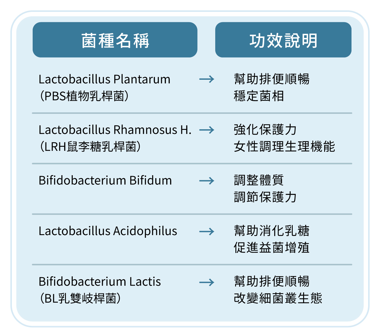常見的植物乳桿菌針對排便順暢及穩定菌相、鼠李糖乳桿菌強化保護力及女性調理生理機能、乳雙歧桿菌幫助排便順暢及改變細菌叢生態