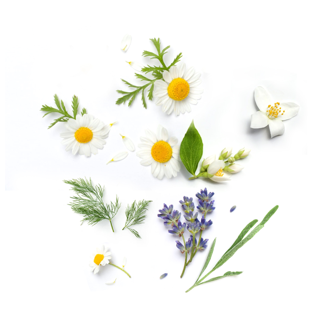 中調搭配薰衣草、洋甘菊及茉莉等熏香撫平心情，自然屏蔽周遭吵雜氛圍