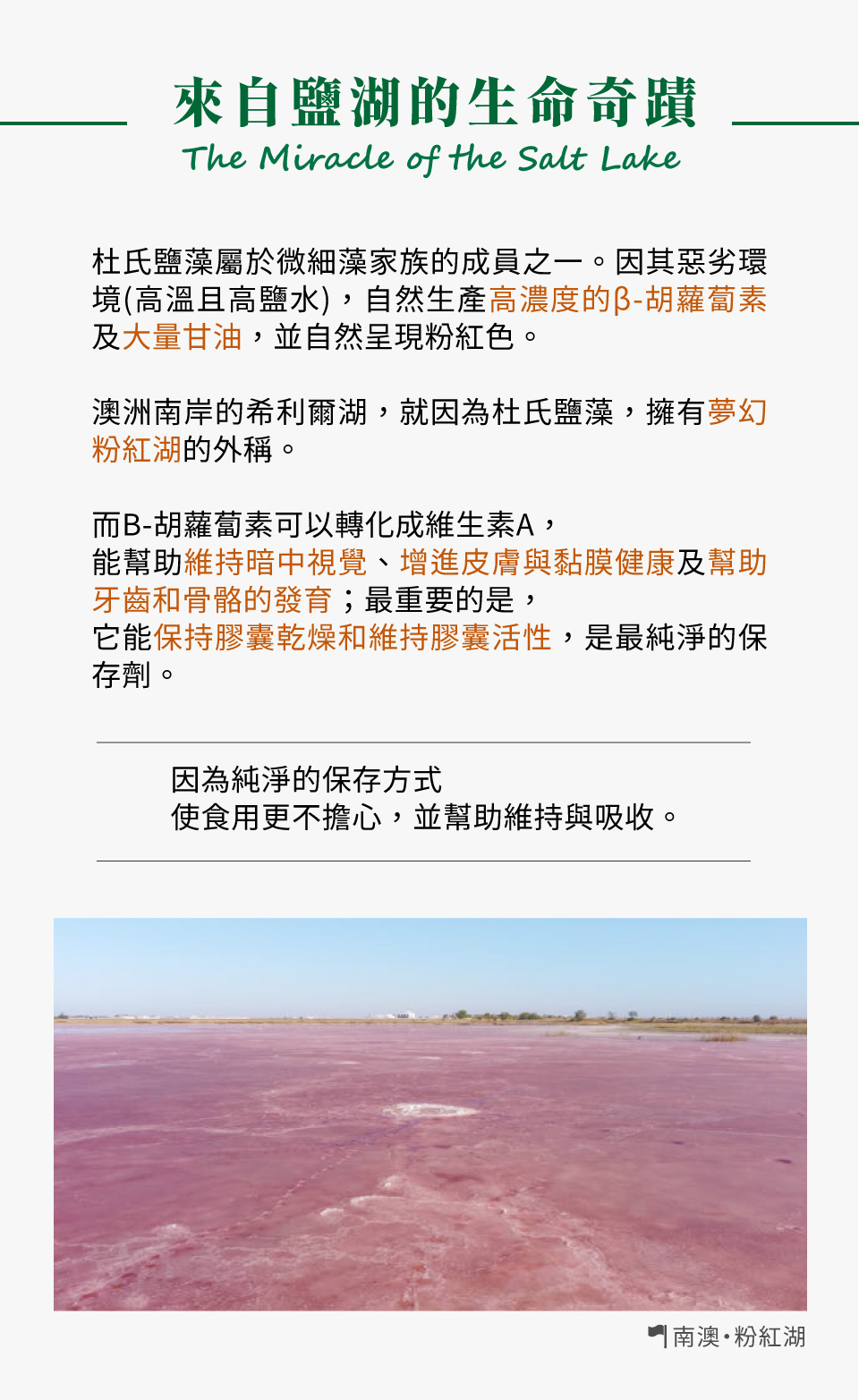  杜氏鹽藻是一種抗氧化能力非常強的藻類，因為它能夠生產大量的類胡蘿蔔素，所以常用於化粧品及保健品。很少有生物可以在這樣的高鹽度條件下鹽蒸發池中能生存。為了生存，這些生物體有高濃度β胡蘿蔔素的保護以防範強光，和高濃度甘油的保護以防範滲透壓。這提供了杜氏鹽藻用於商業的機會。由於其獨特的顏色，會把湖水染成紅色或粉紅色。在西非塞內加爾首都以的瑞特巴湖（玫瑰湖），就因為杜氏鹽藻的作用，把湖水染成獨特的粉紅色，使其得到「粉紅湖」的外號。 而高濃度的β胡蘿蔔素永有豐富維生素A，能幫助改善視力和預防夜盲症，並降低黃斑部病變和白內障的風險。此外，β-胡蘿蔔素是一種強效的抗氧化劑，能有效中和自由基，減少細胞損傷，降低慢性疾病的風險。它還能增強免疫系統功能，提高身體抵抗感染的能力，並增強皮膚的抗紫外線能力，減少曬傷和皮膚老化的風險。研究表明，β-胡蘿蔔素對心血管健康也有益，能降低心臟病和中風的風險，同時可能減少腦部退化的風險，進而降低失智症的發生率。