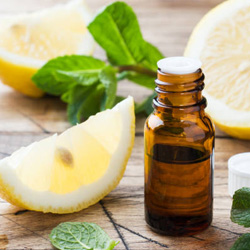 檸檬精油使心情愉悅與提升專注力