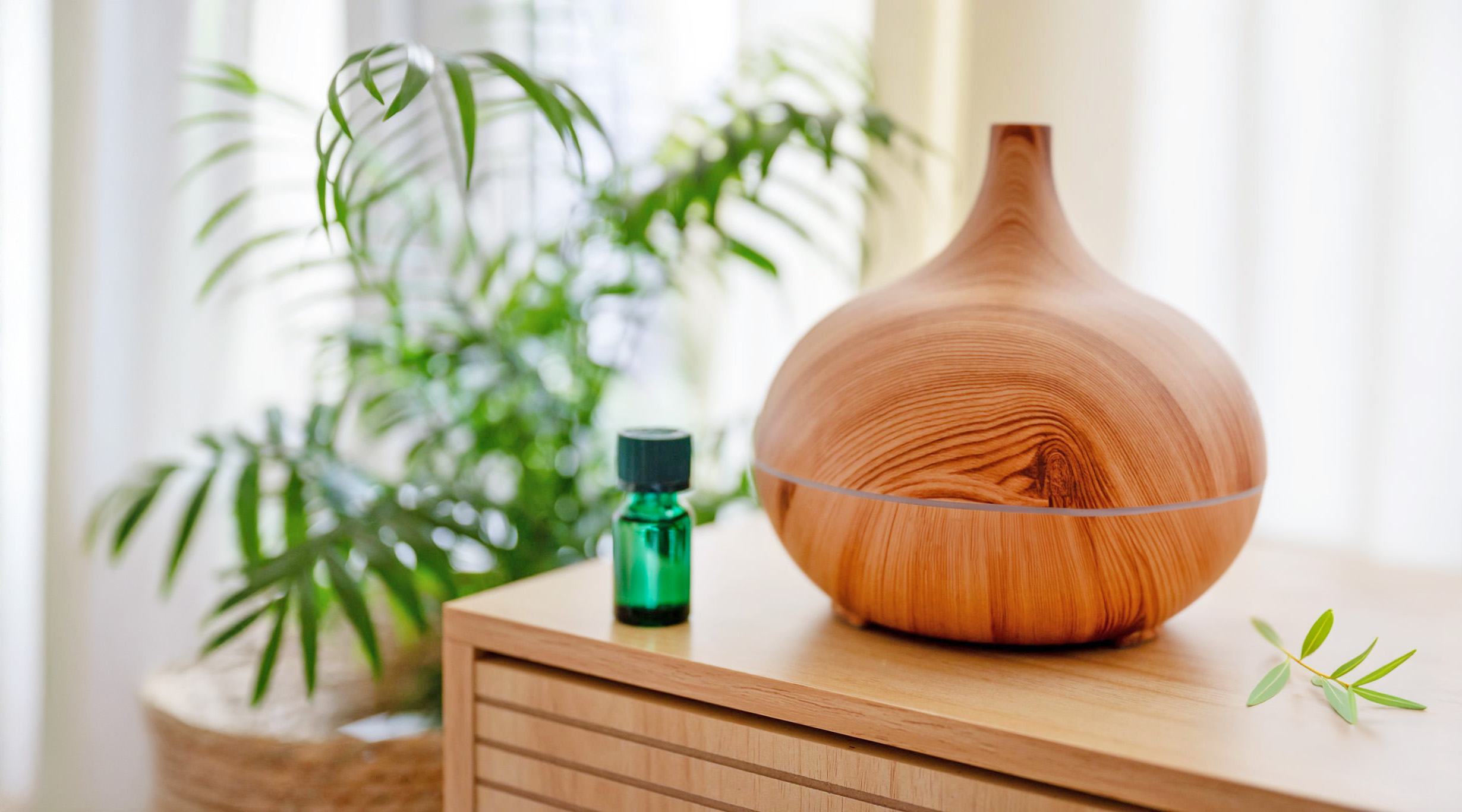 尤加利精油常被裝在小瓶中。它不僅用於芳香療法,還被加入牙膏、漱口水、藥膏與清潔用品中,是生活中隱形卻重要的天然元素